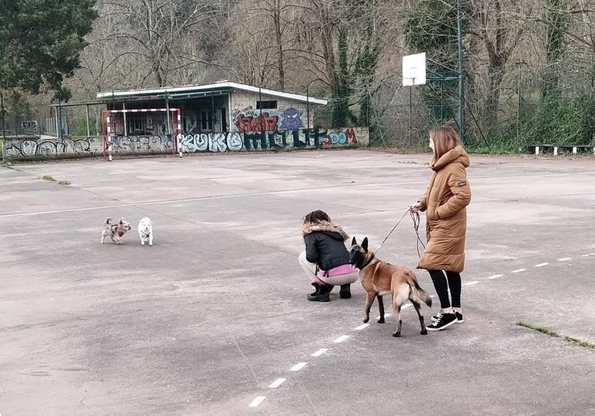 Estado del parque y pista de San Andrés en la actualidad.