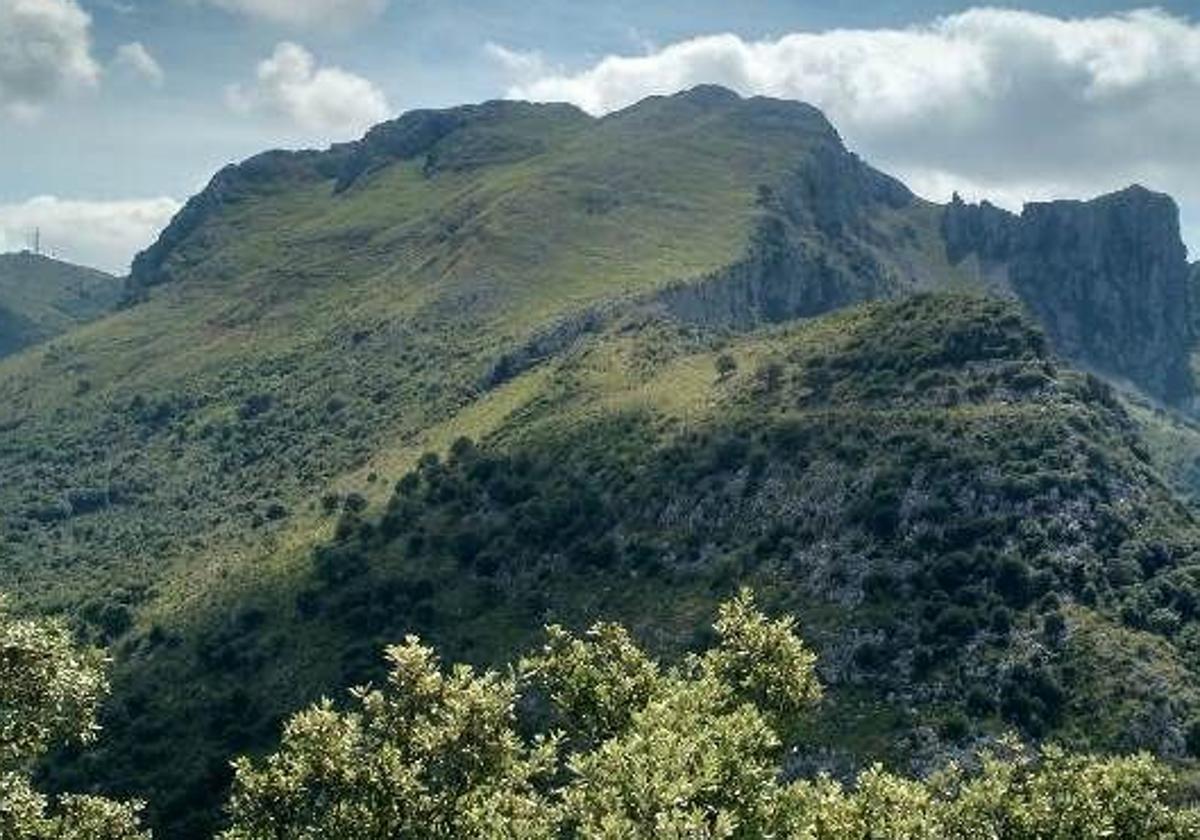 Proyecto de restauración de la Montaña Oriental Cantábrica.