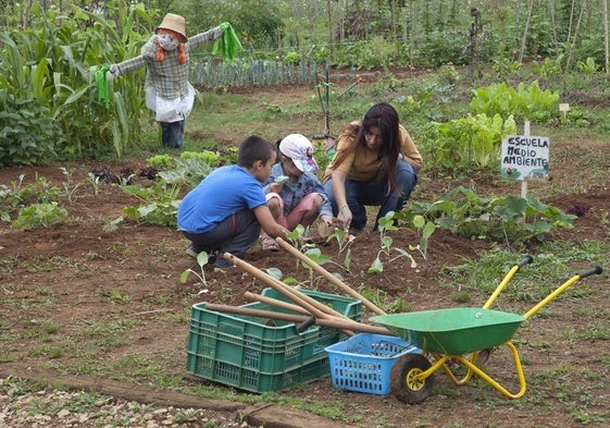 Unos pequeños aprendiendo a plantar y cultivar en la escuela de Medio Ambiente.