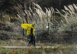 La antesala de la borrasca 'Eowyn' deja 13 incendios forestales activos y vuelos cancelados con Dublín