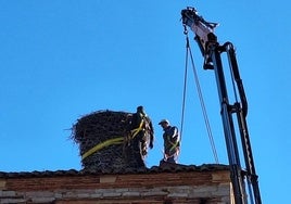 Con un peso estimado de una tonelada y más de un metro y medio de altura, el nido, construido con palos, barro y tierra, había comprometido seriamente la estructura de la torre.