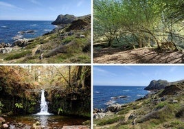 Cuatro rutas para pasear por Cantabria