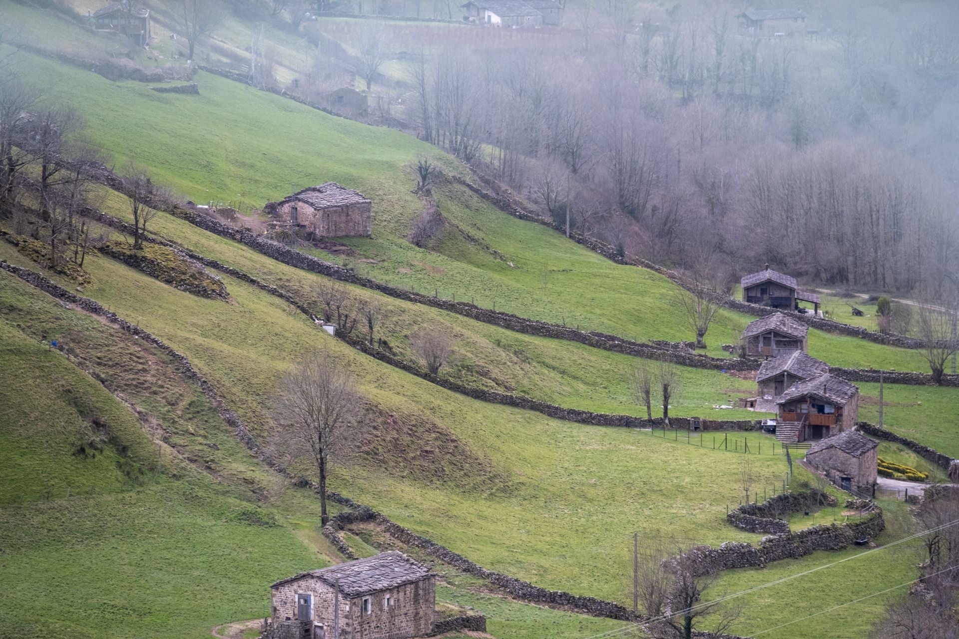 Típico paisaje pasiego con los prados, las cabañas y los muros.