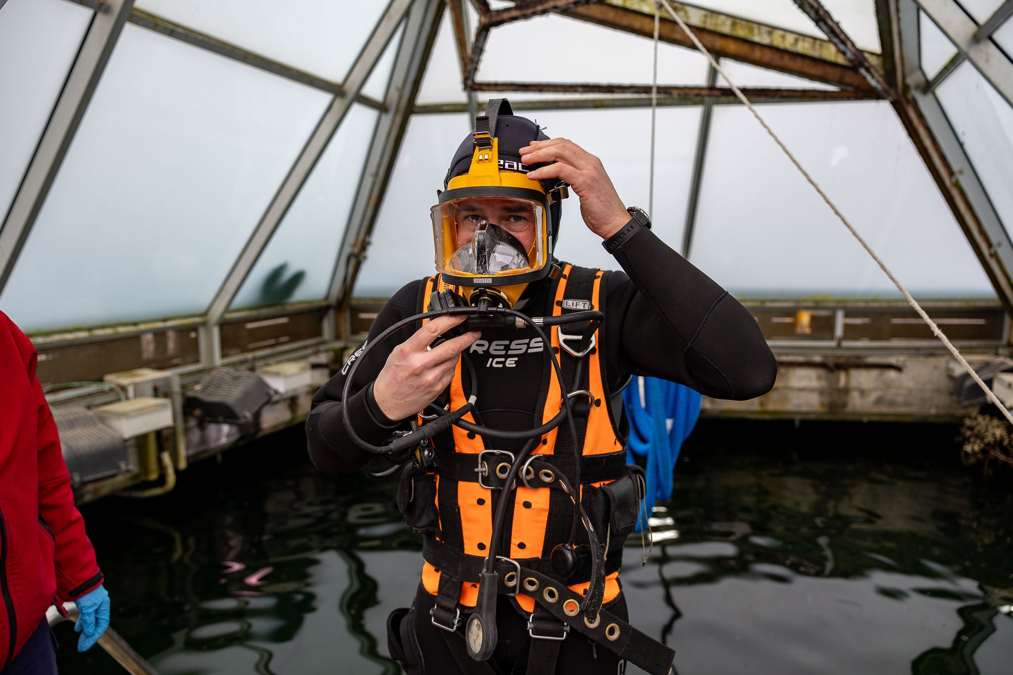 El técnico se enfunda el neopreno y los arneses, las gafas y unos guantes de malla porque los tiburones grises pueden llevarle una mano.