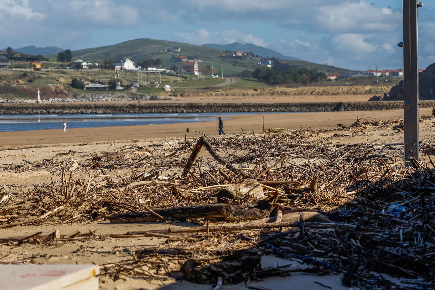 En la playa de La Concha, en Suances, con una gran multitud de troncos, palos y algas que llegan hasta las duchas del arenal.