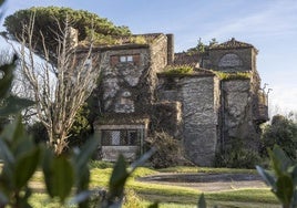 Vista de la Casa Rosales, comida por la hiedra y un arbolado «que hace peligrar su estructura».