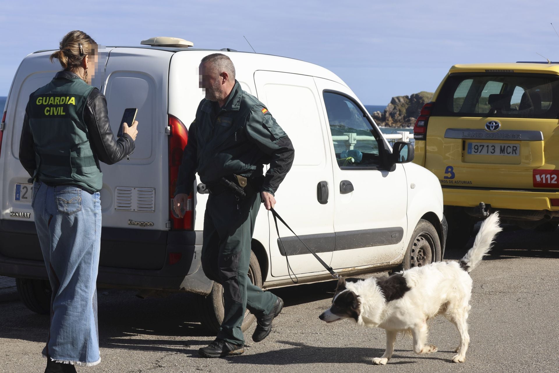 En tierra se están utilizando perros especialmente adiestrados.