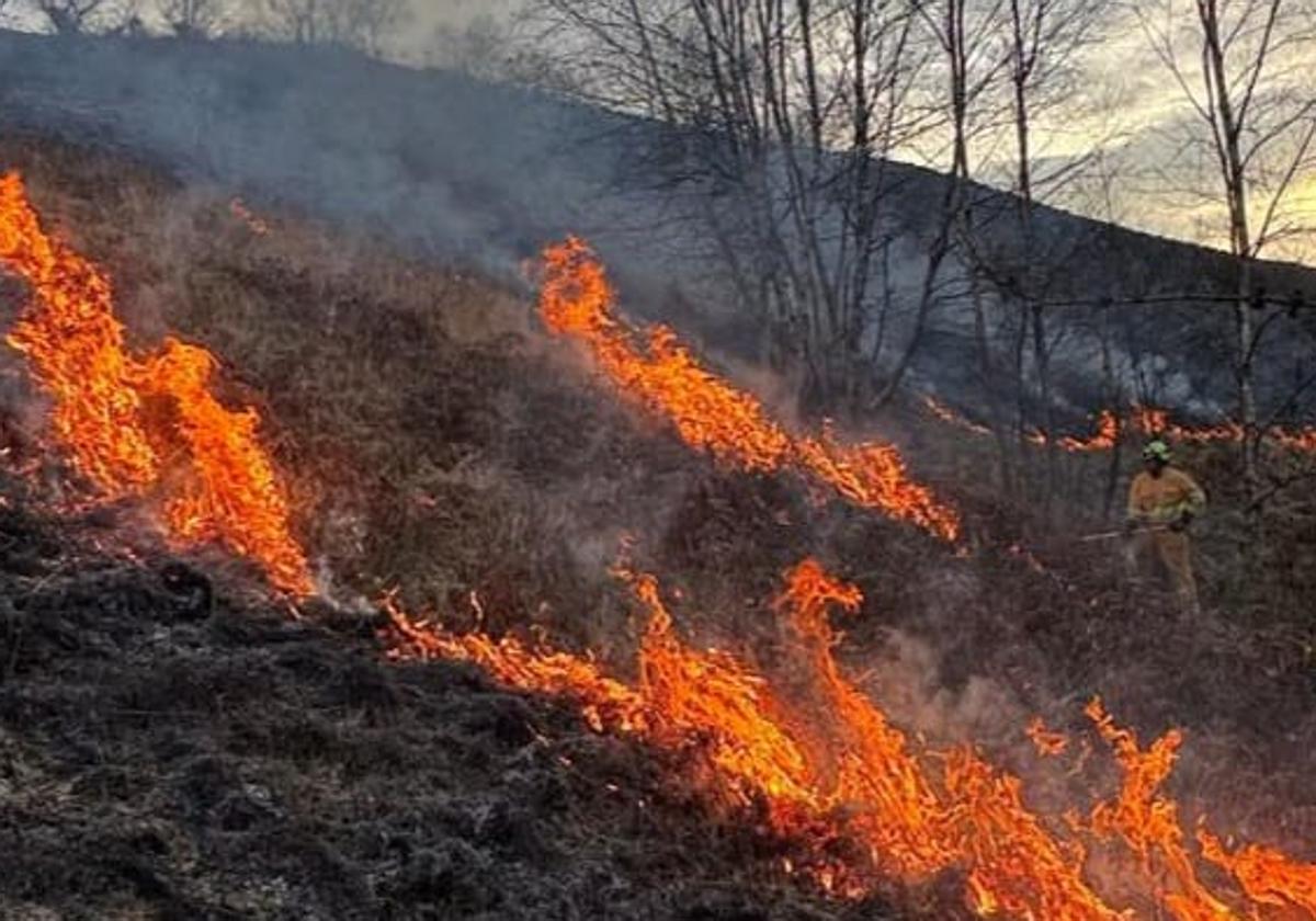 Doce de los 33 incendios forestales provocados esta pasada noche siguen activos