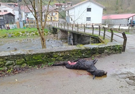 El ataque se produjo en mitad del pueblo de Saja, en el municipio de Los Tojos, junto al puente que cruza el río.