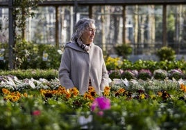 Palabras y flores. Un jardín de papel y otro de tierra. Menchu Gutiérrez suma estos días su nuevo libro a su singular trayectoria.