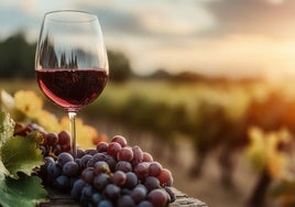 El vino tinto es aún el que más demanda tiene por los consumidores, aunque el blanco está recortando.