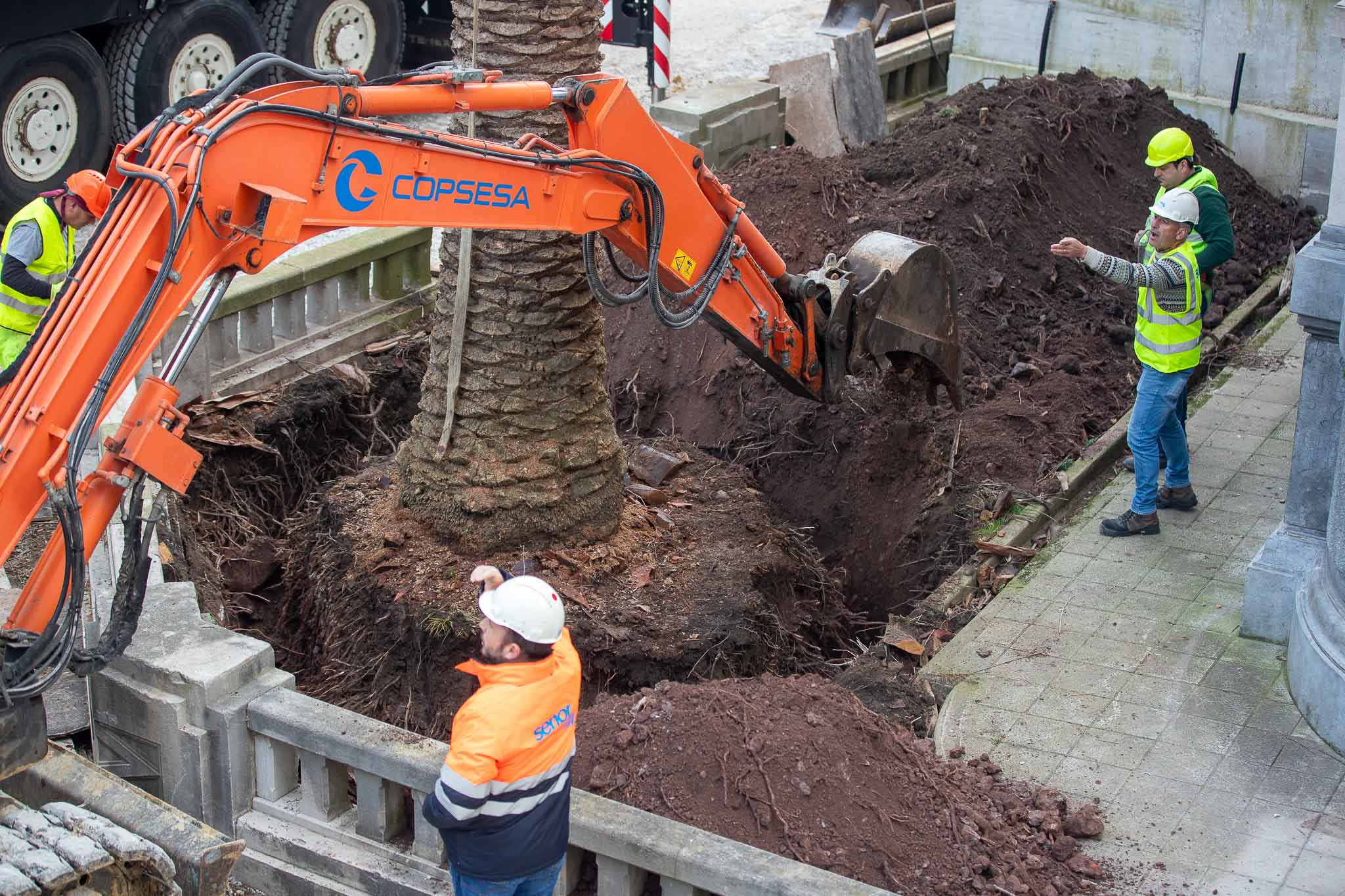 La extracción y el traslado se han prolongado durante toda la mañana