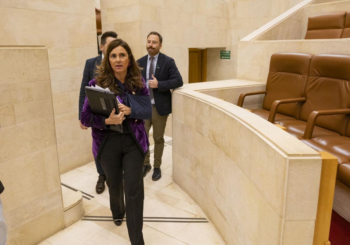 Paula Fernández, a su entrada en el Parlamento de Cantabria.