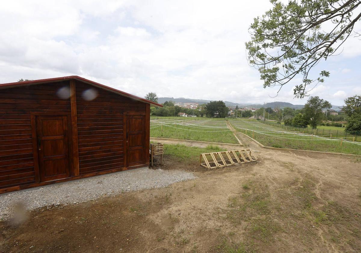 Parcelas de los huertos urbanos en Sierrapando.