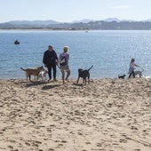 Perros y sus dueños en el arenal que se ha formado en Gamazo.