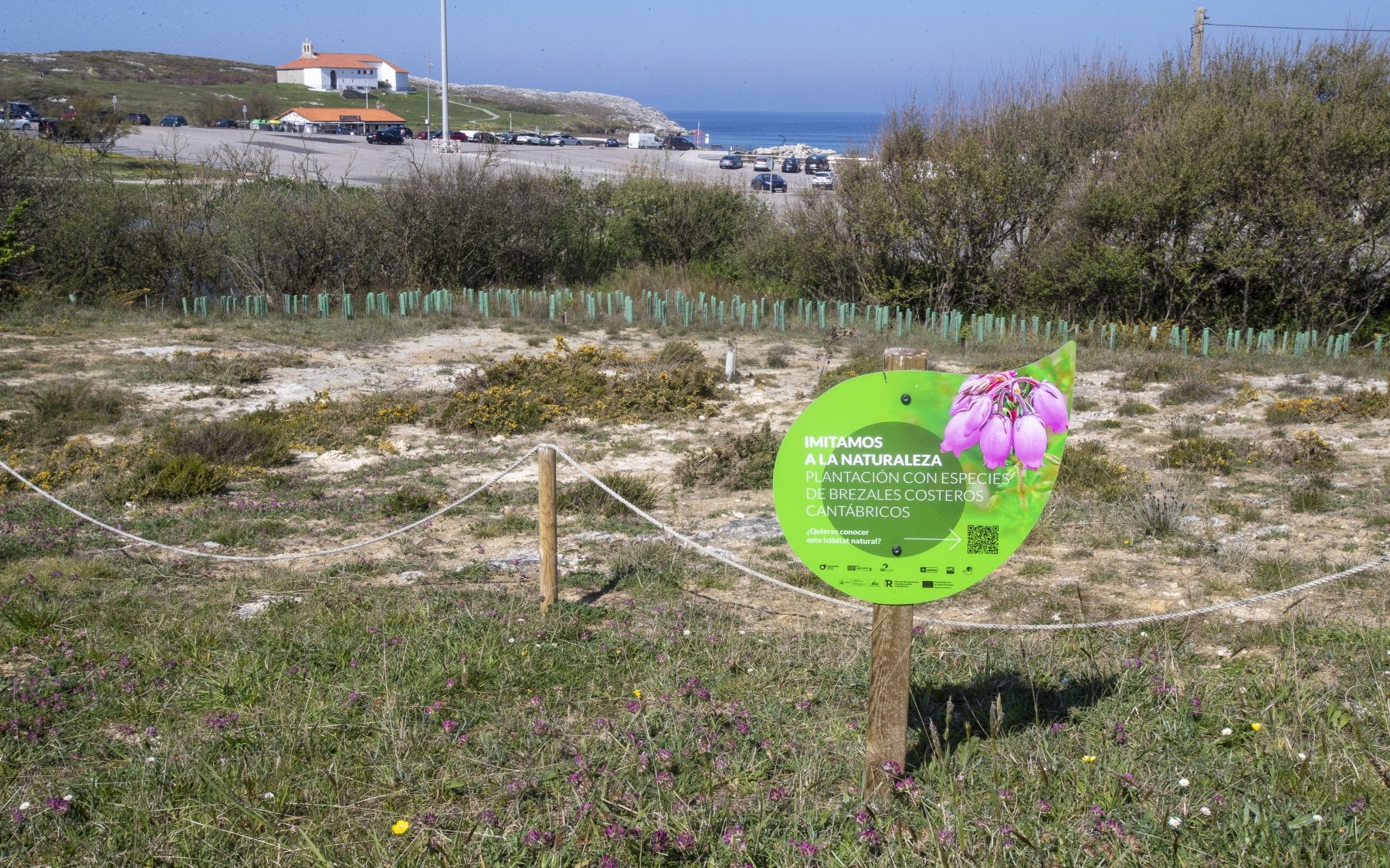 El Ayuntamiento regenera más de 100.000 metros cuadrados en La Virgen del Mar