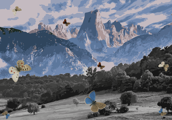 Ejemplares de mariposa que se pueden encontrar en Picos de Europa.