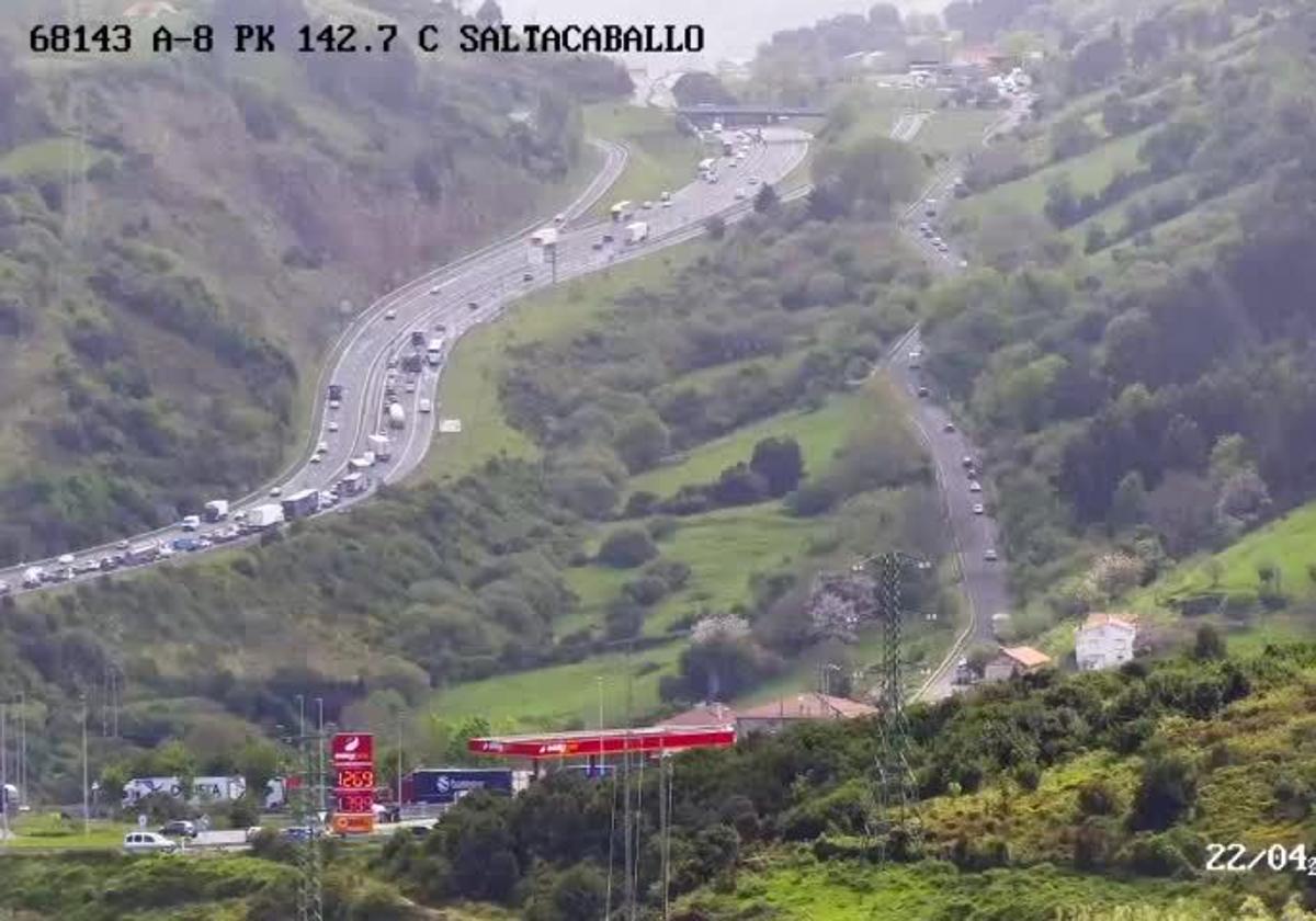 Imagen de Galeria 
