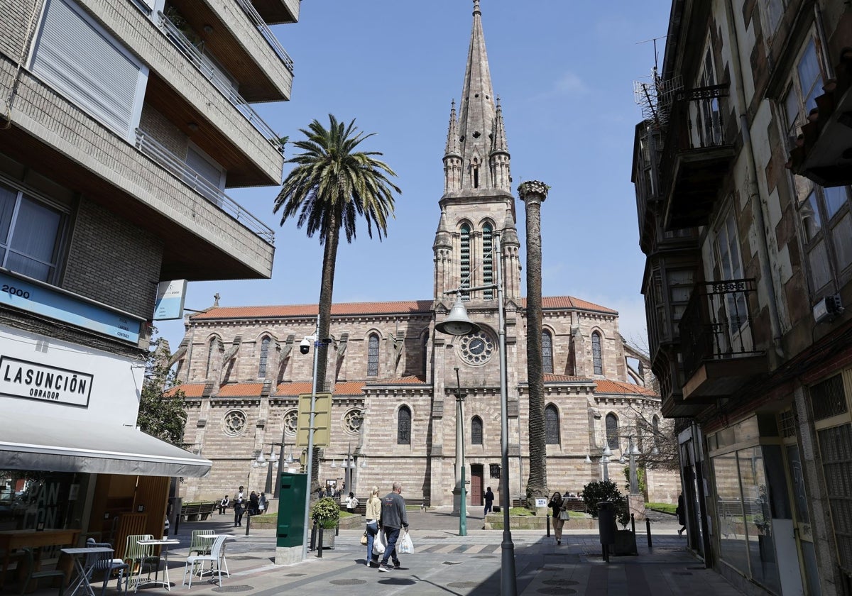 Adiós a una de las palmeras centenarias de La Asunción de Torrelavega