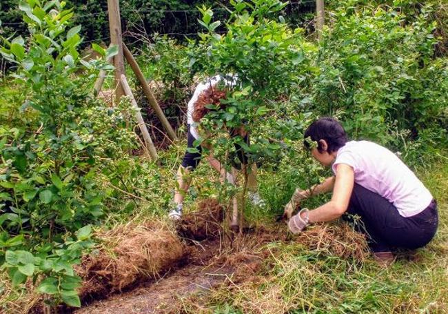 Efecto Ecológico, prácticas sostenibles y consumo responsable.