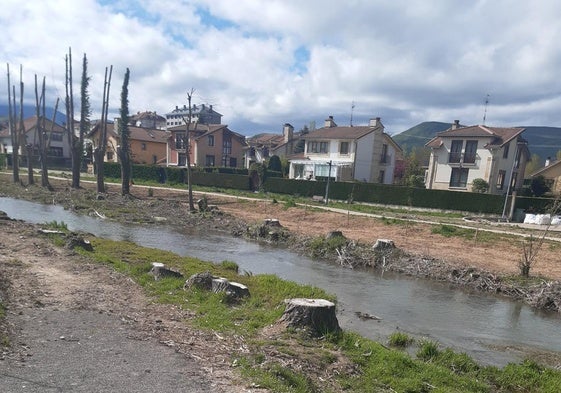 Tala realizada junto a la urbanización Las Acacias, tras la caida de árboles por los temporales de viento.