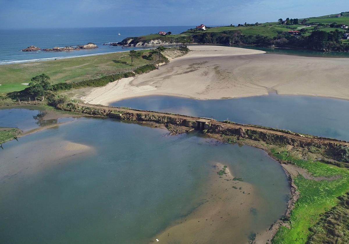 'Salvar Oyambre' exige al Gobierno que proteja el parque natural