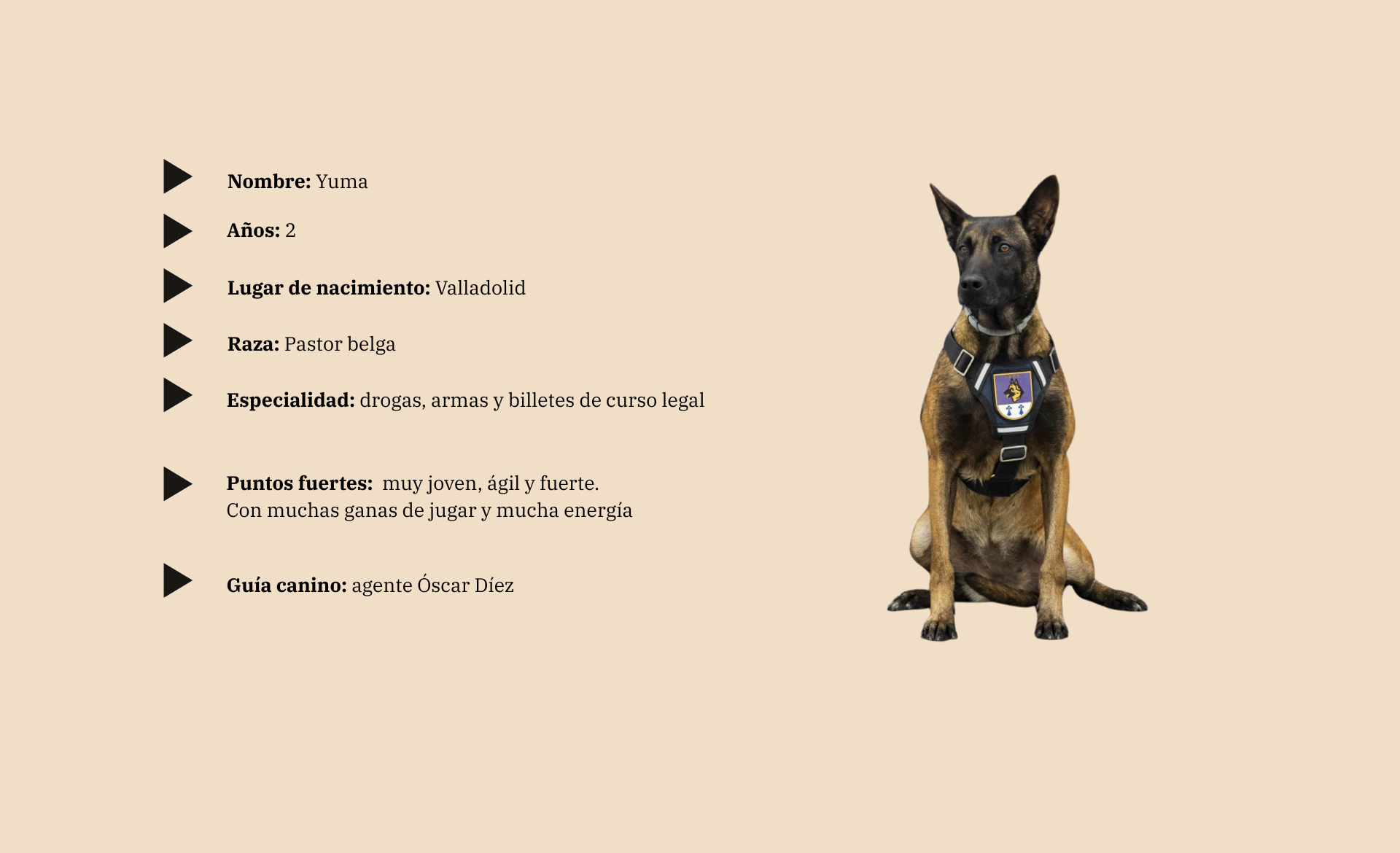 Scroll Story imagen 2