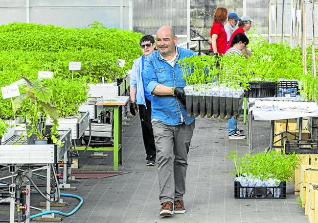 Los vecinos pudieron llevarse diferentes variedades de tomate.