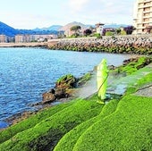 Zona de solárium del litoral de Castro donde se está retirando el verdín.