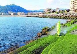 Zona de solárium del litoral de Castro donde se está retirando el verdín.