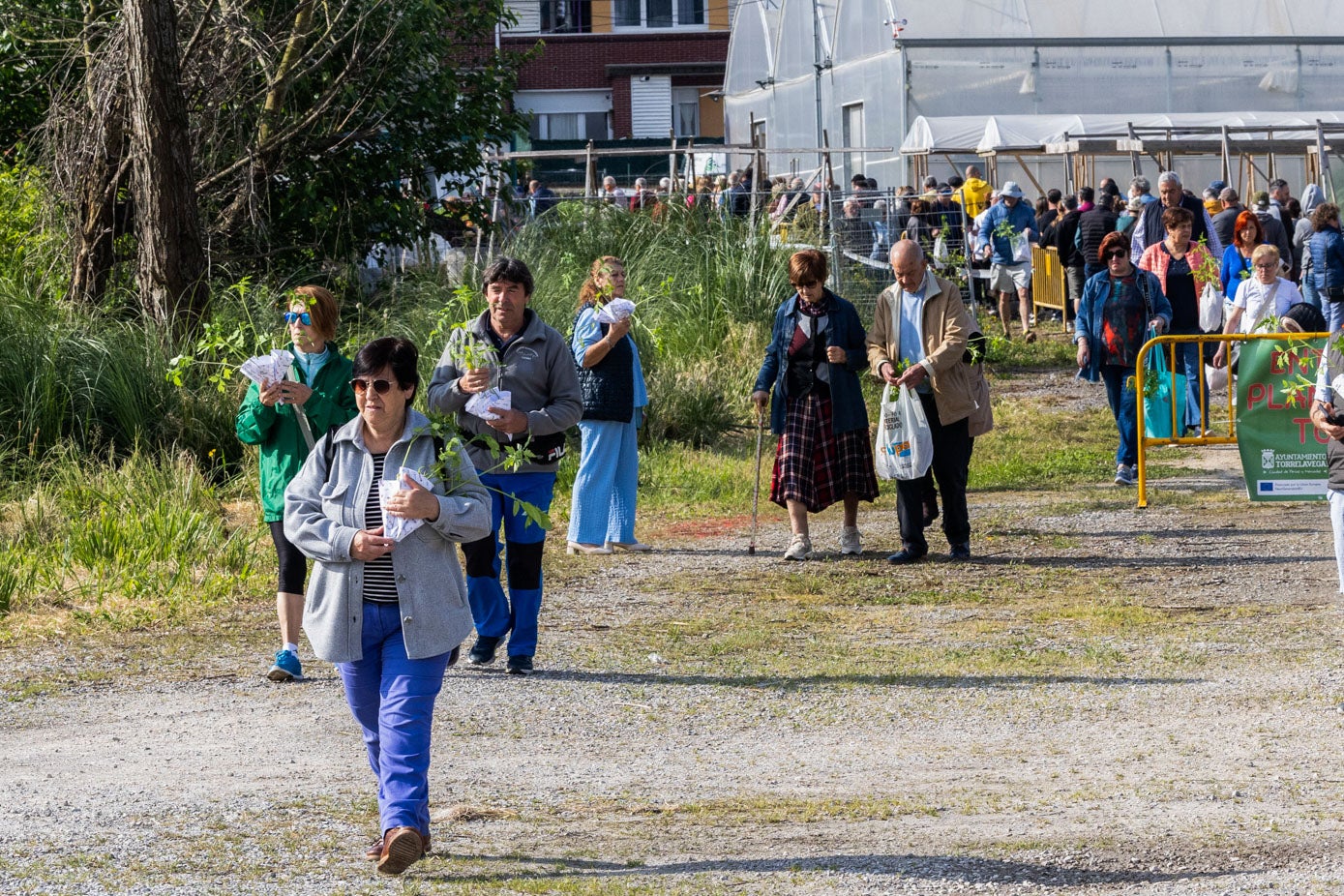 Cientos de personas acudieron este jueves a la finca de La Jurona, en Campuzano, para recoger un máximo de cinco plantas de tomate. 