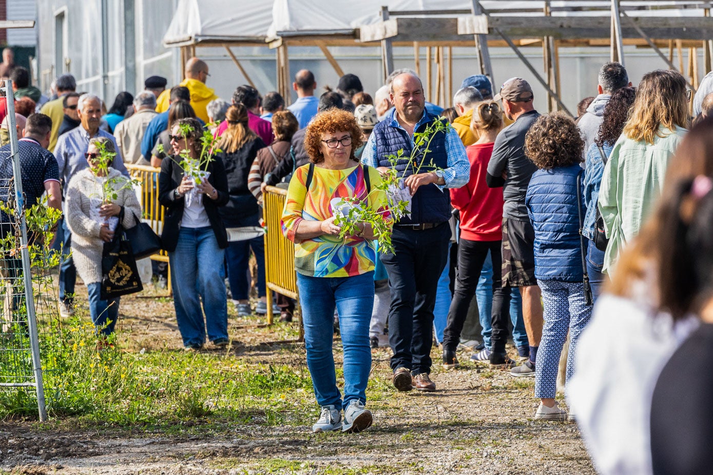 El Ayuntamiento ha regalado hasta 15.000 plantas en total para reivindicar los sabores propios y directamente desde la huerta. 