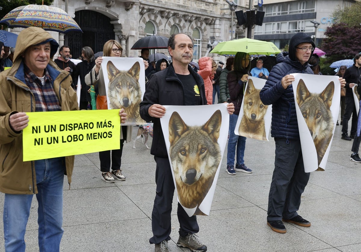 Imagen de Galeria 