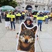 Concentración, a mediodía, en la plaza del Ayuntamiento de Santander en defensa del lobo.