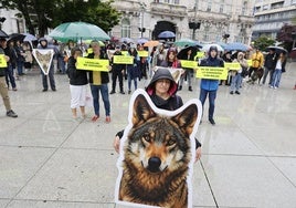 Concentración, a mediodía, en la plaza del Ayuntamiento de Santander en defensa del lobo.