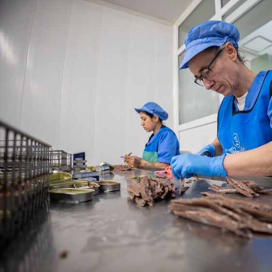 Así se elabora la mejor Anchoa de Cantabria de 2025