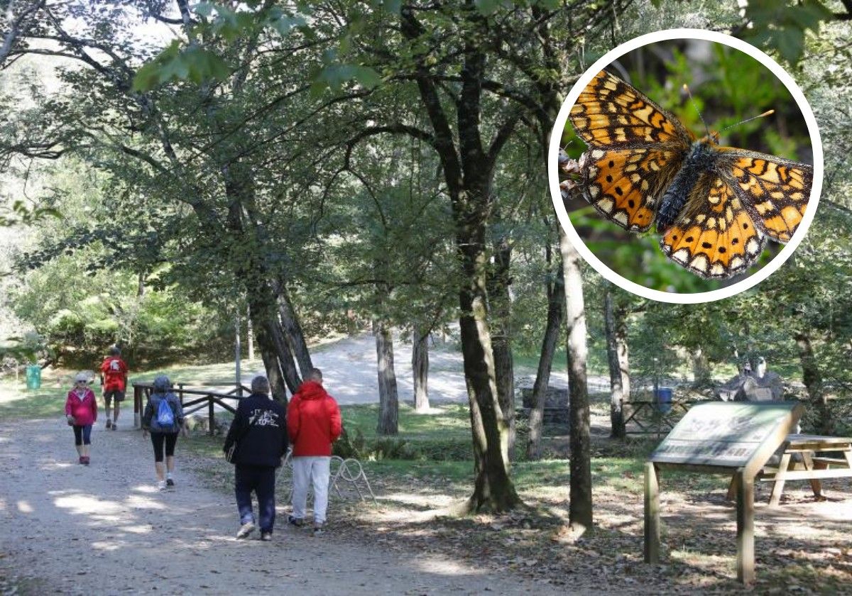 Los amantes de la naturaleza están invitados a conocer 'Mariposas y otras cosas en La Viesca'