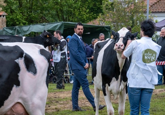 Los manejadores con sus vacas en la pista de Galizano
