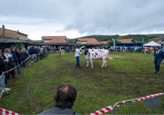 El público observa en torno a la pista a las vacas participantes en el concurso de ganado de Galizano.