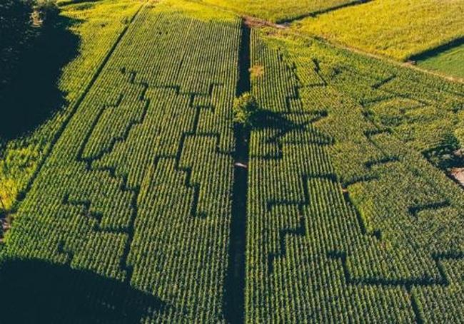 Imagen aérea del laberinto Blat de Moro.