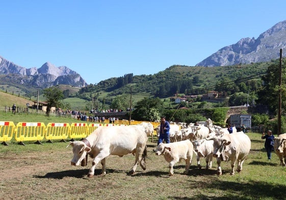 La finca de Soarmaño acogió la celebración de la feria en Tama