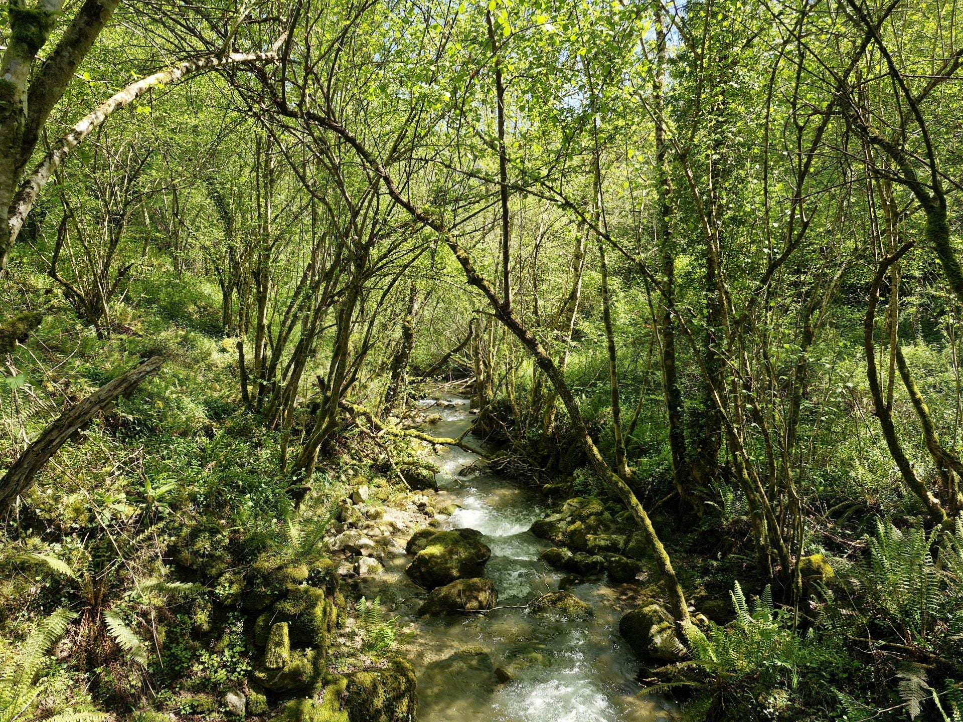 el río Seco (o Belondio), camino ya de Redo.