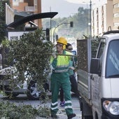 Trabajadores del Ayuntamiento de Camargo realizan labores de poda en el centro urbano.