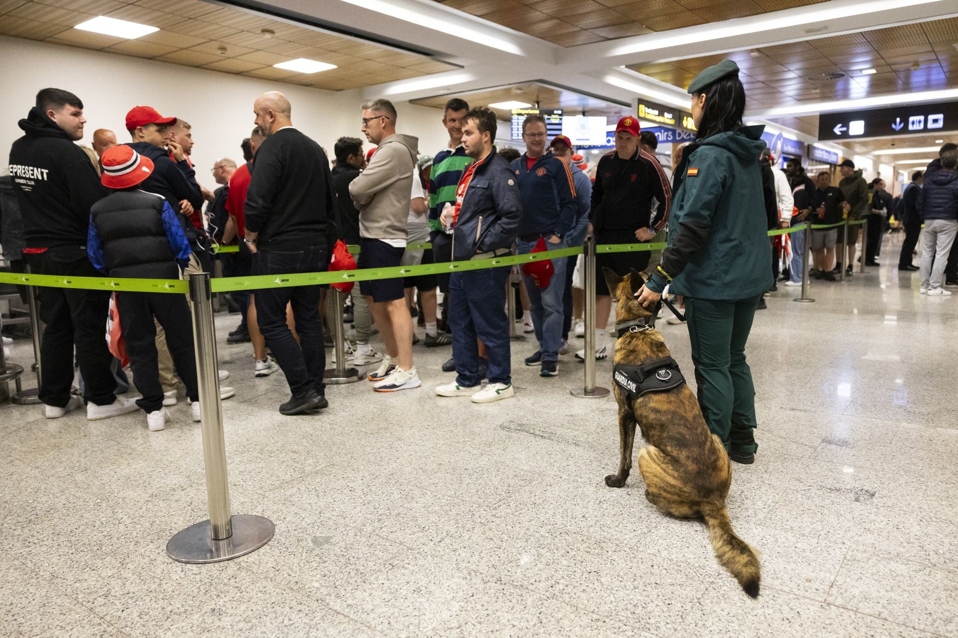 Perros de la unidad canina de la Guardia Civil desplazados al aeropuerto