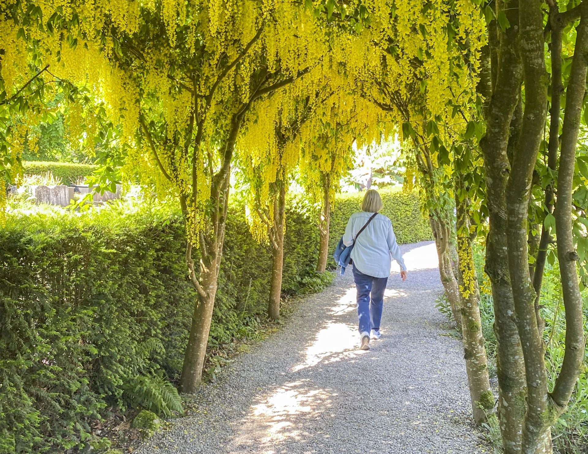 Los jardines del Castillo de Blarney. La entrada al recinto para adultos cuesta 23 euros.