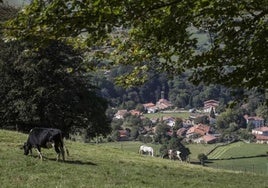 Paisaje en Esles, en pleno entorno de los valles pasiegos.
