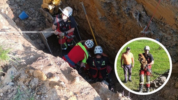 Imágenes del rescate y, en detalle, un bombero con uno de los perros, sano y salvo, en brazos.