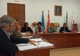 Una de las sesiones ordinarias de los plenos en Cayón.