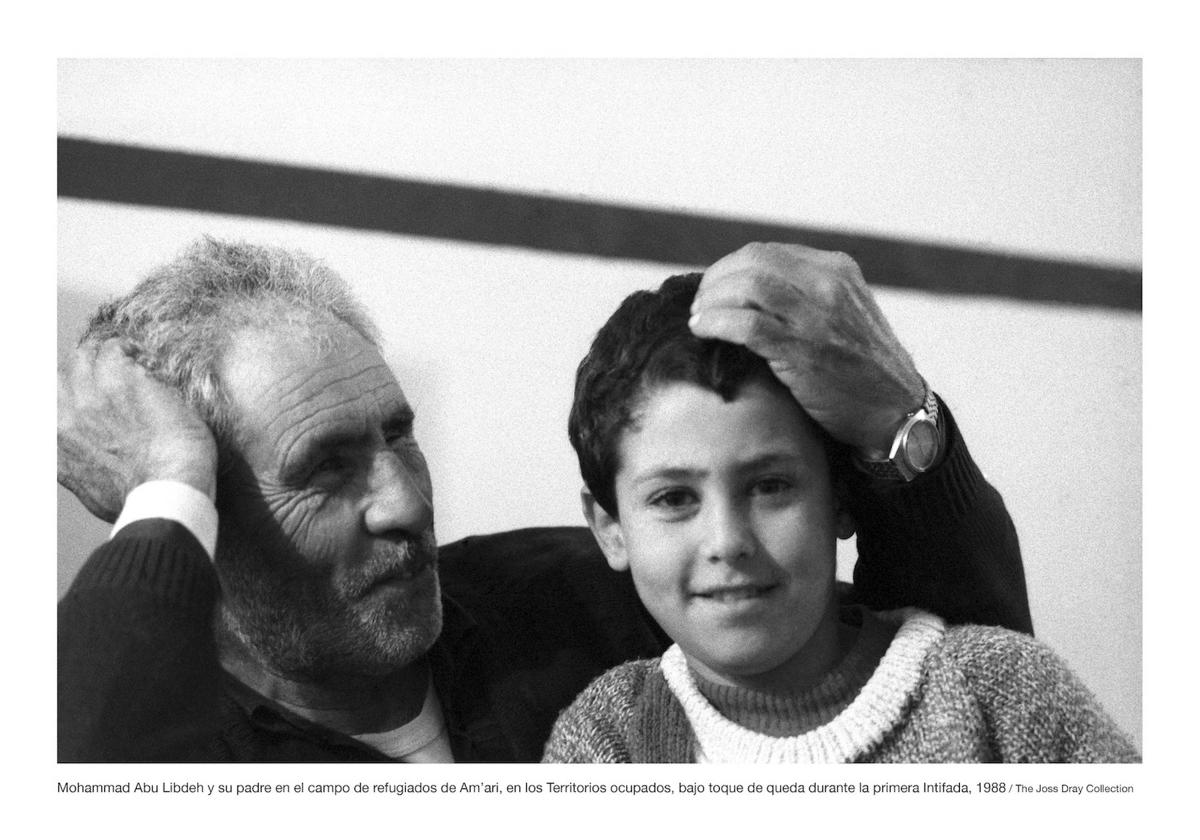 Imagen de Galeria