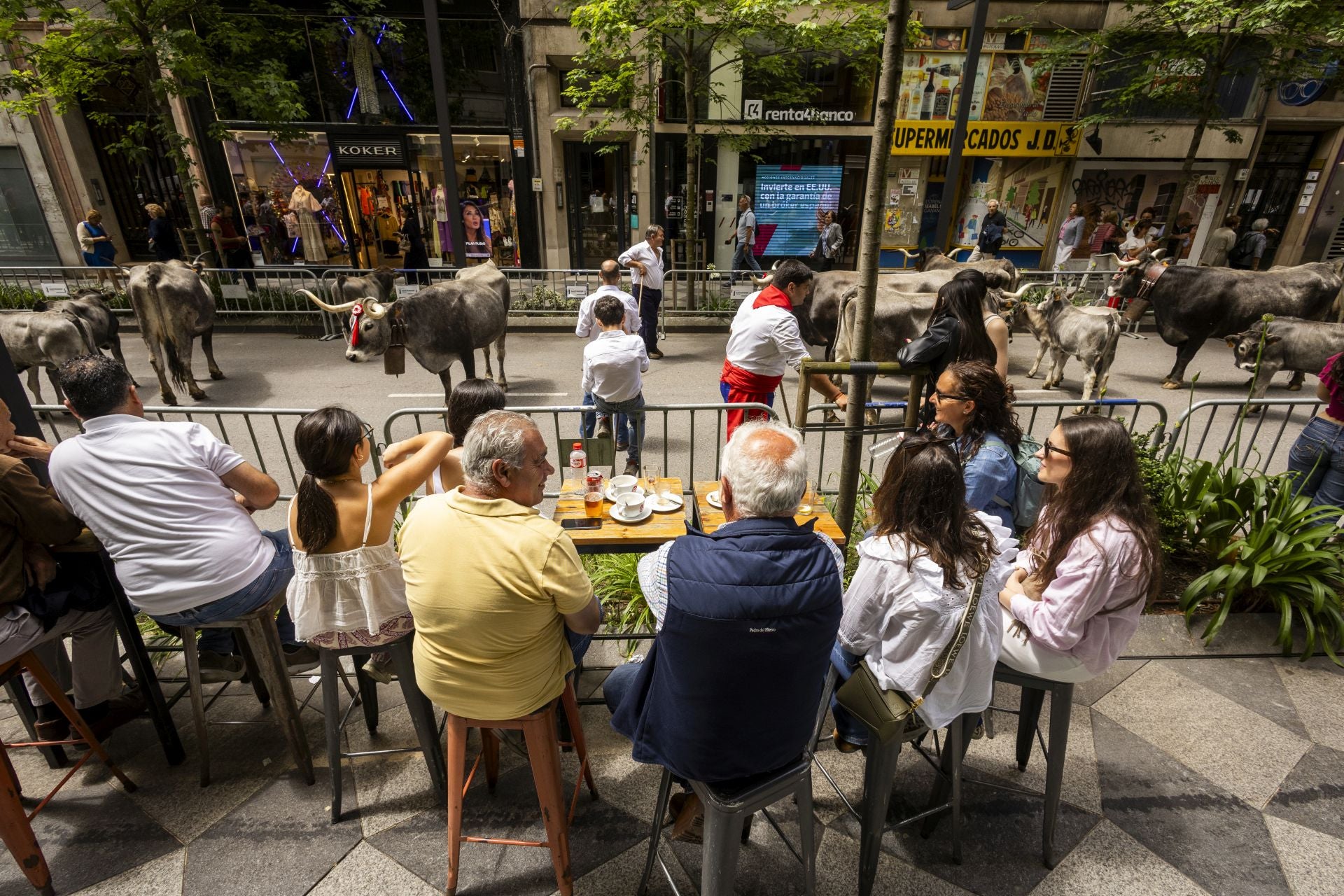 Algunos almorzaban con el paso de los animales en la calle Isabel II.